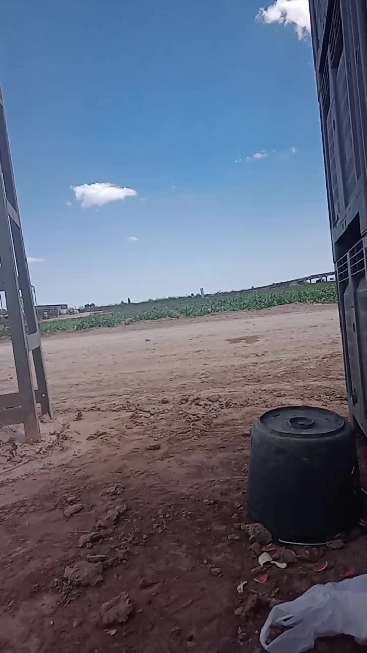 @bochra