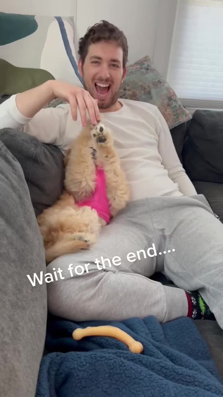 @Elle