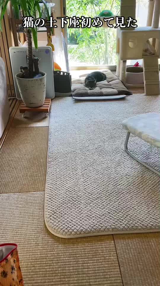 @バギー