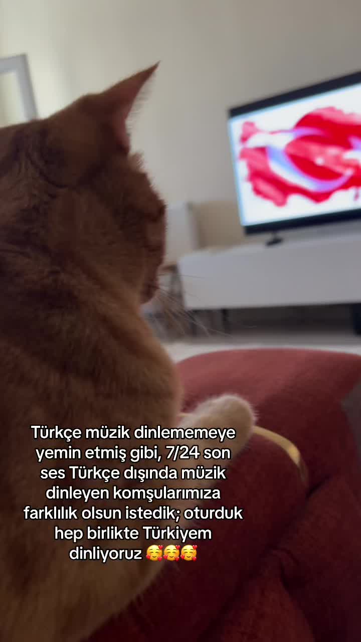 @Paşa Bebek