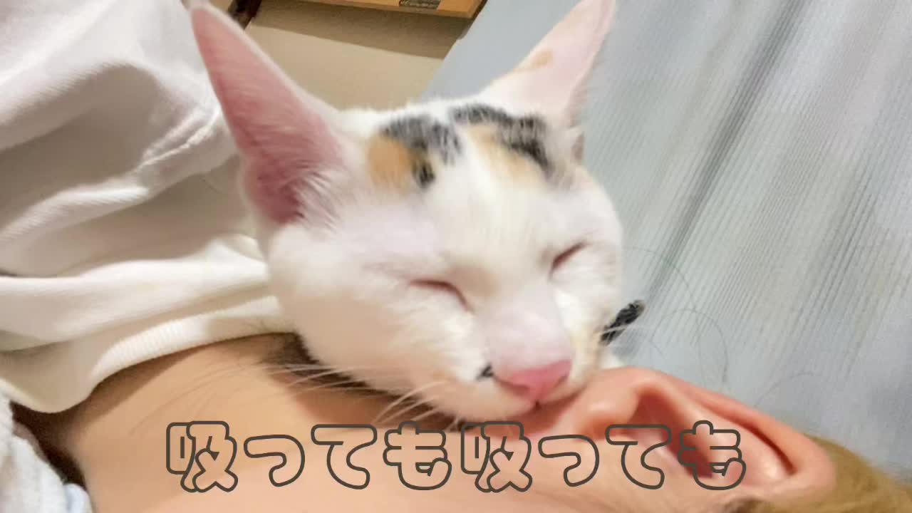 @ðïž