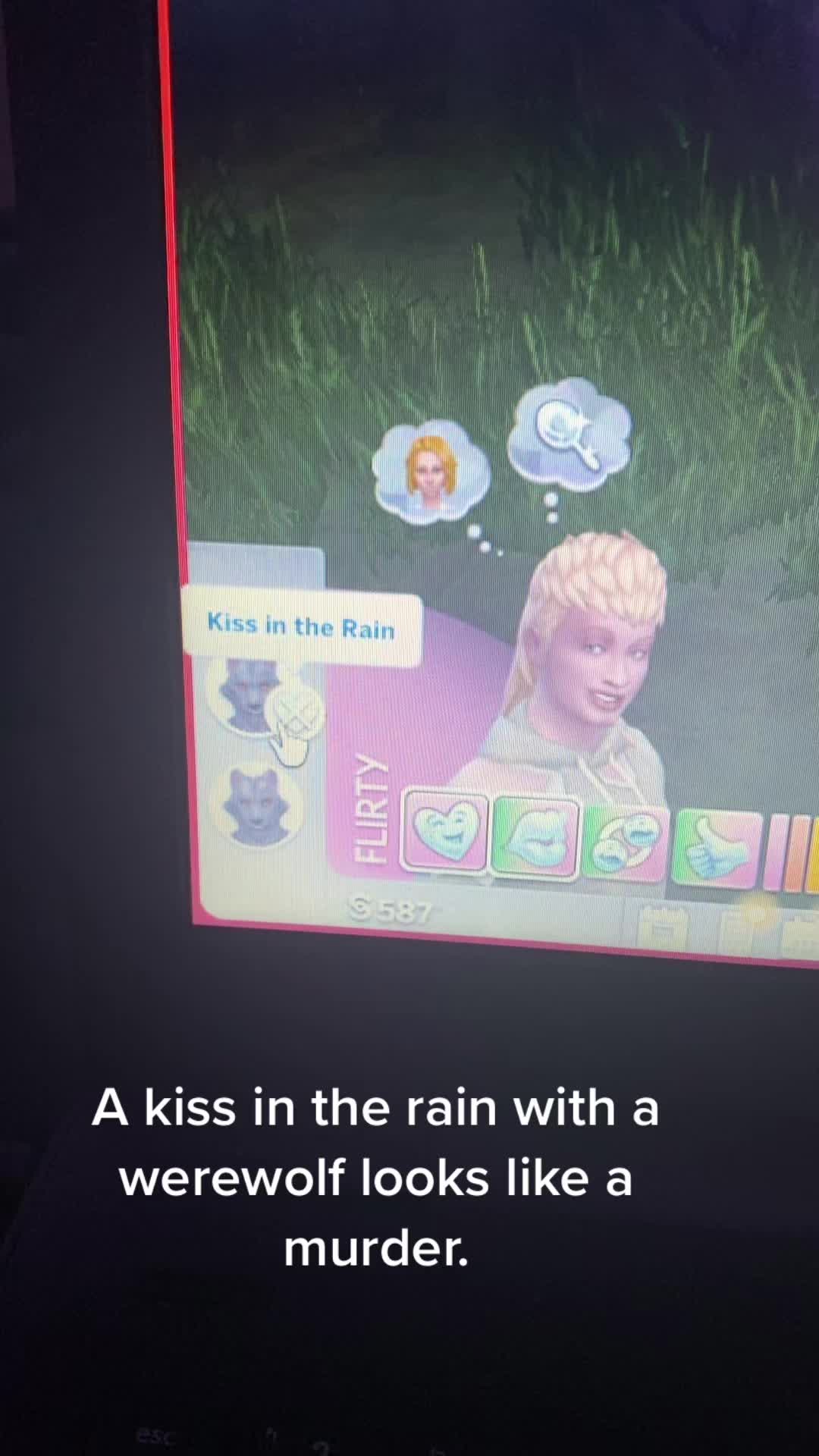 @Sim-Sim