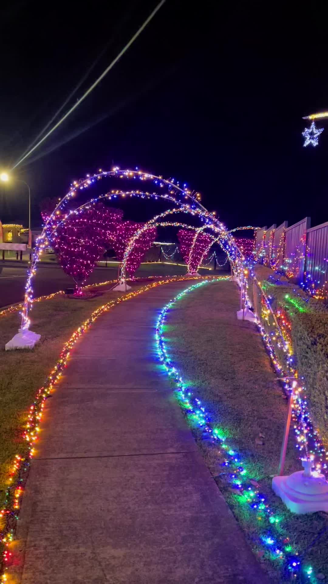 @swansonachristmaslights