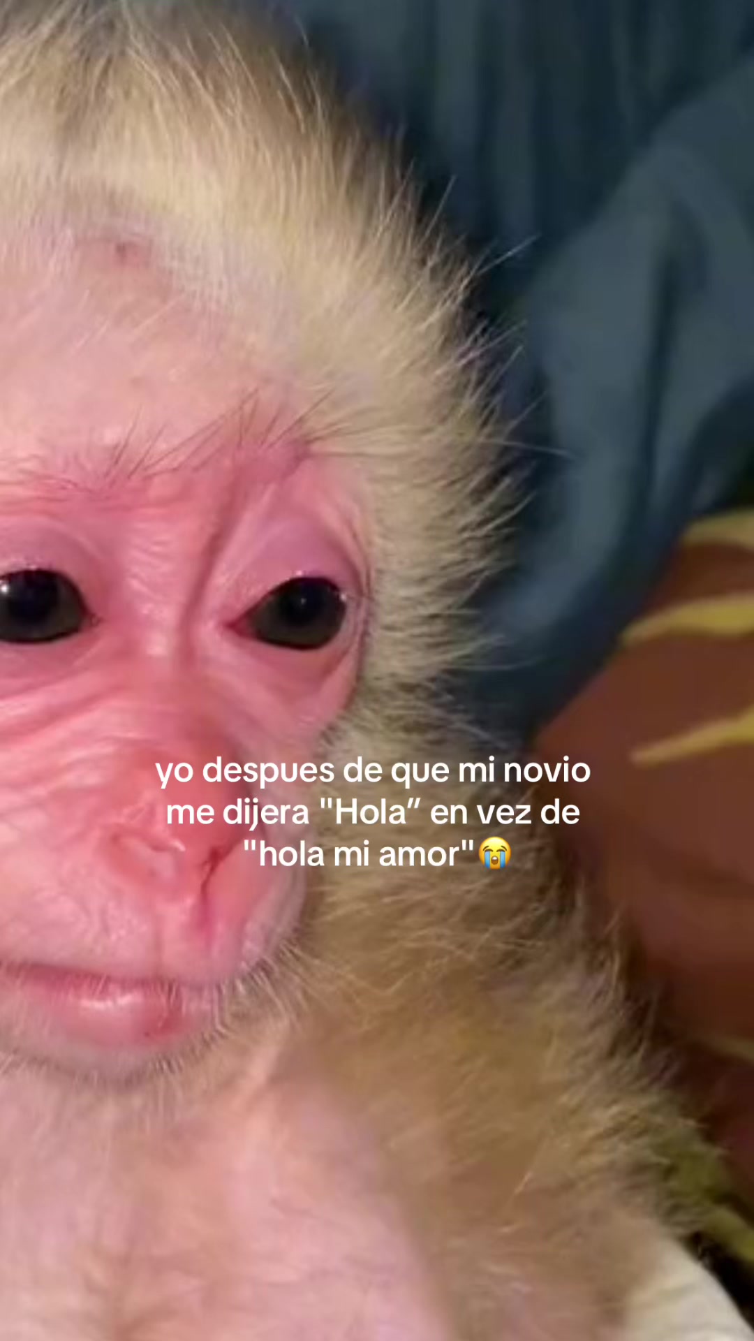 @valentina 💕