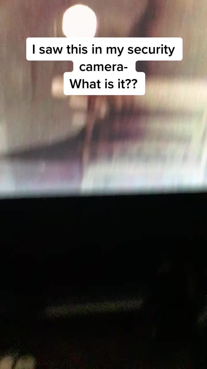 @myopinion605