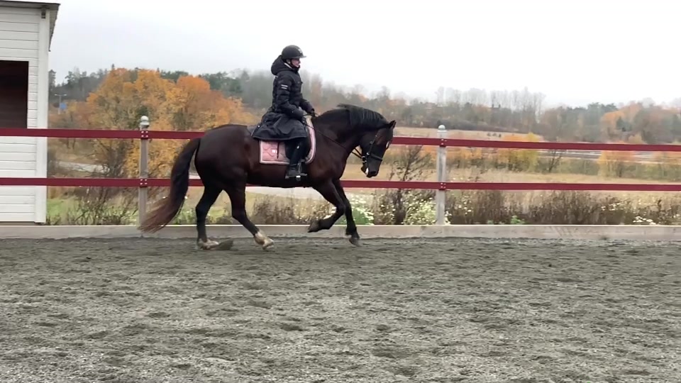 @🏇Ryttare🏇
