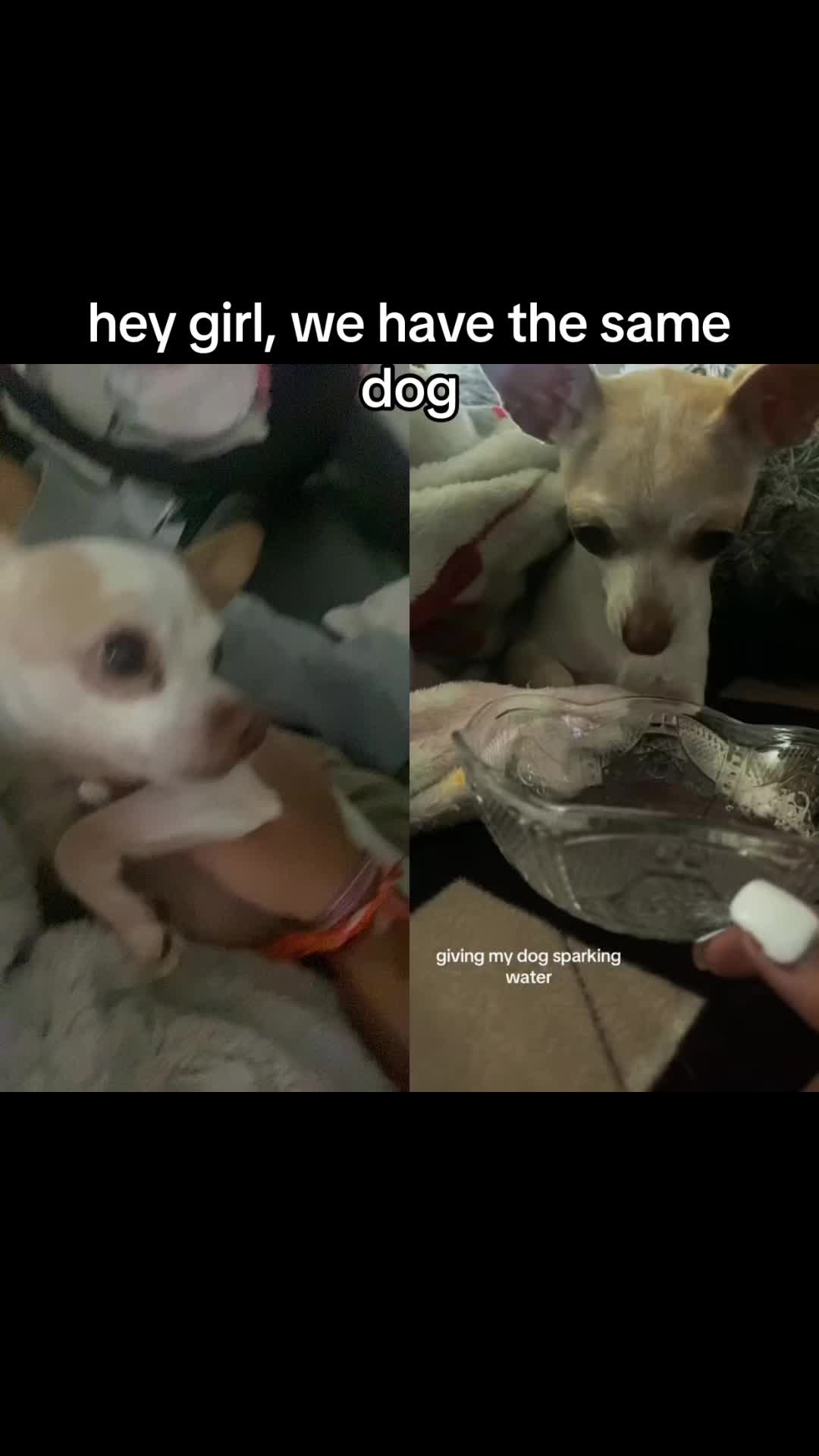 @katie :p