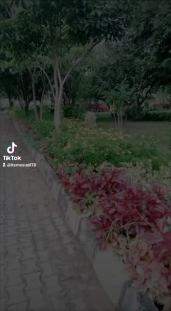 @Sunil kami