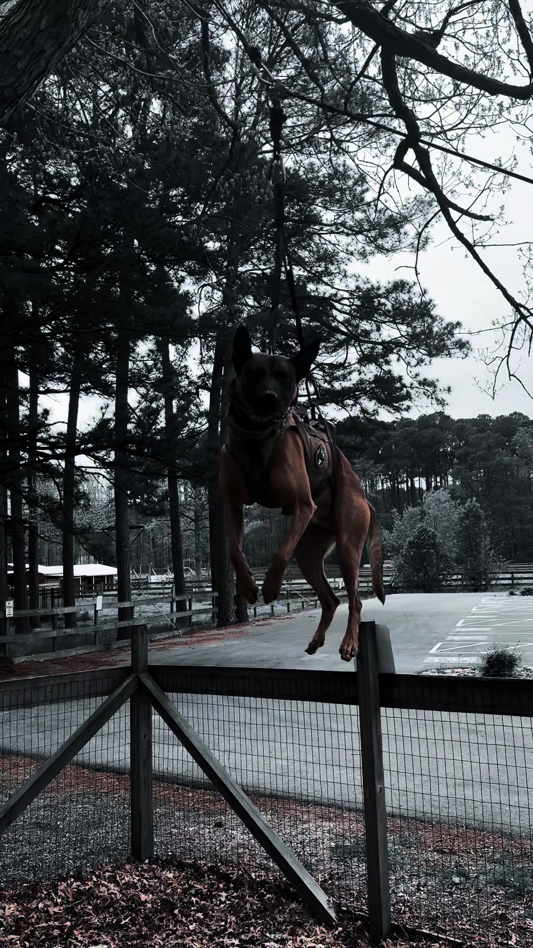 @K9DUCO