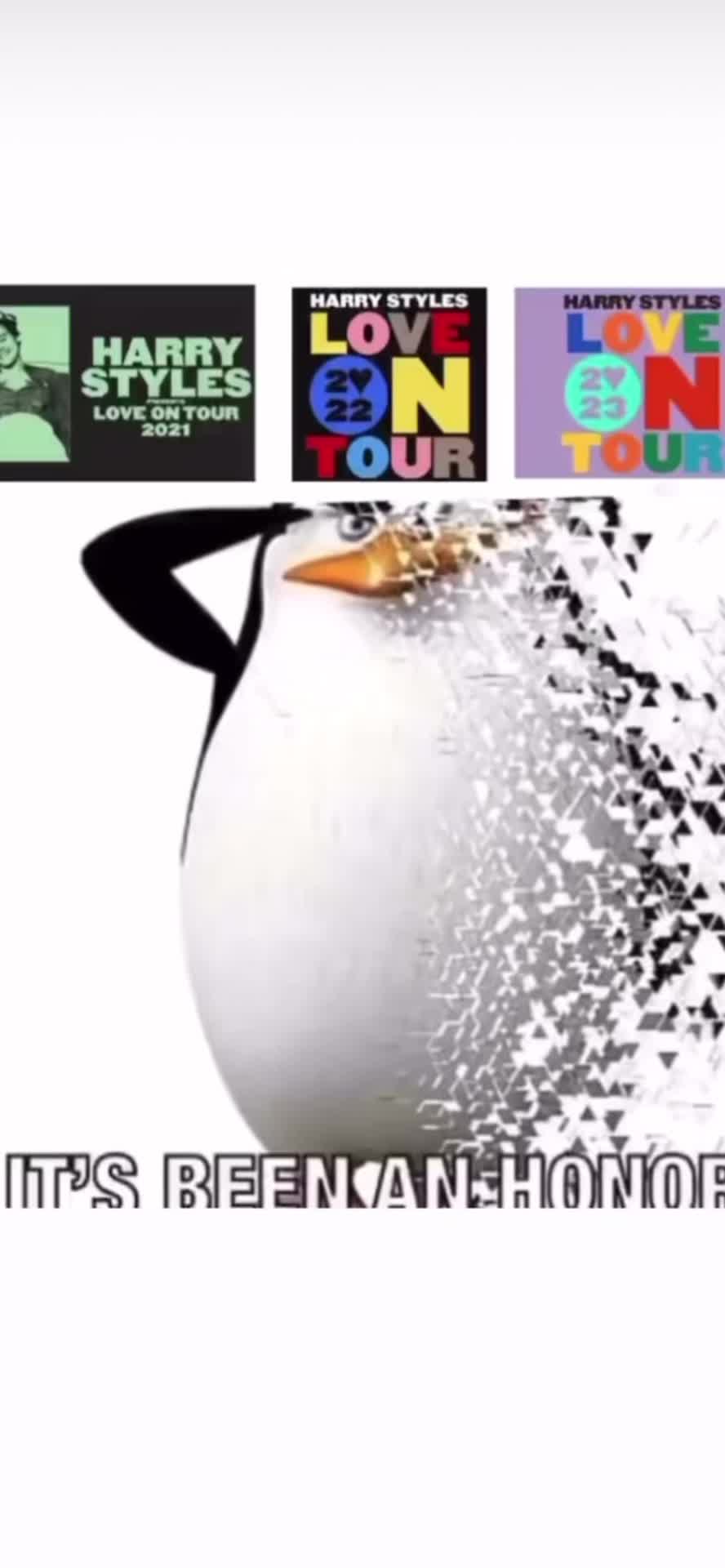 @lucccc⭐️