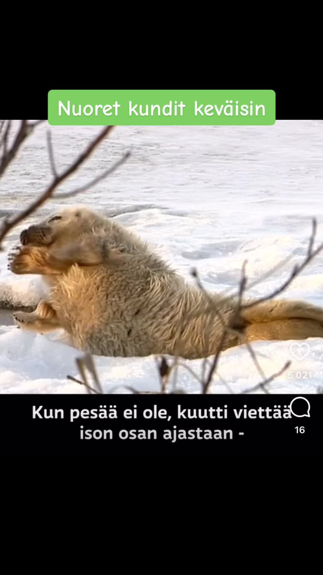 @Viivi Eräpuu