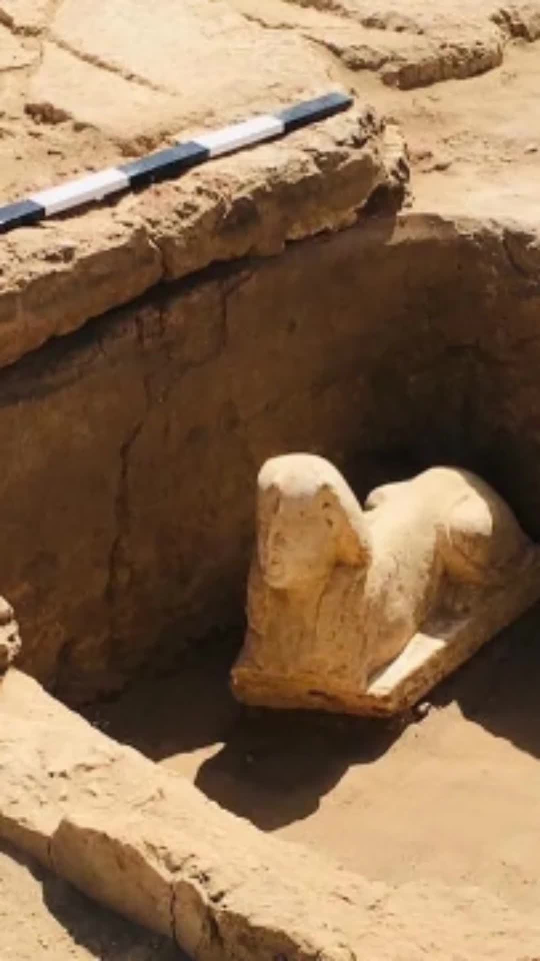 @archaeodiscoveries