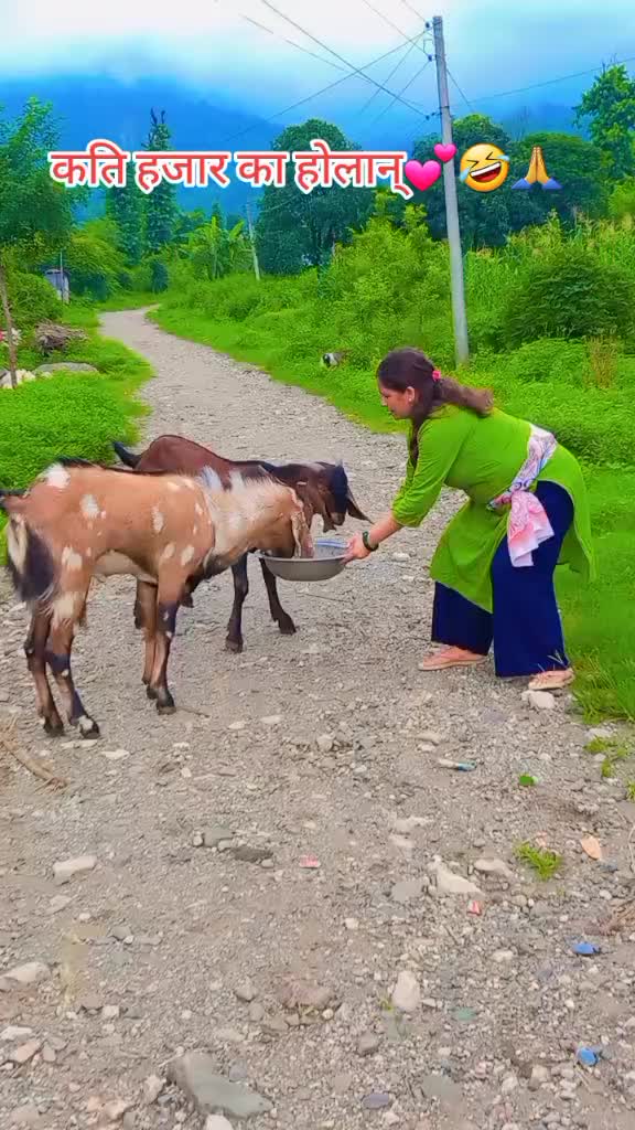 @Jharana Gaire