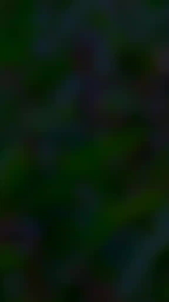 @🌴کشمیری شہزادہ😎