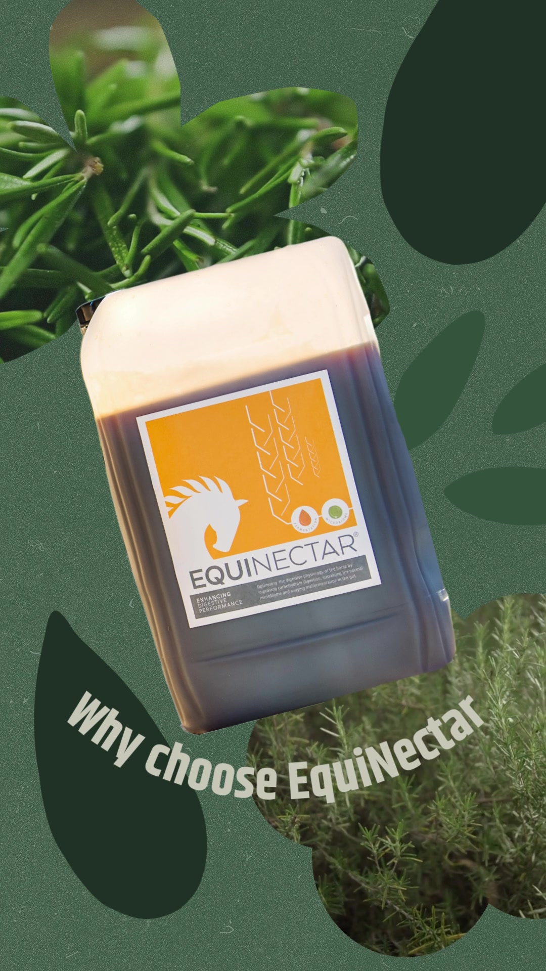 @equinectar