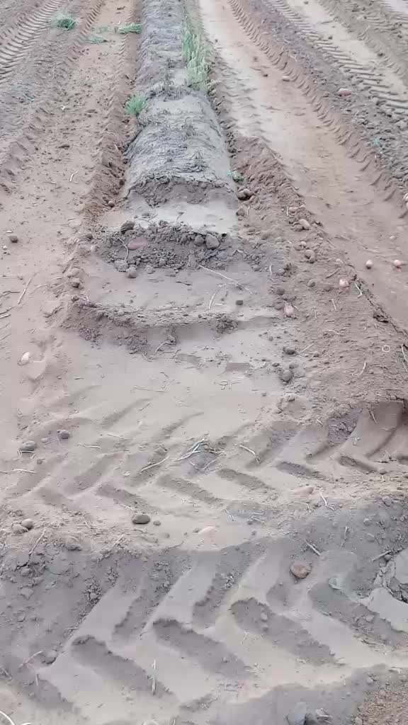 @cuatralbo