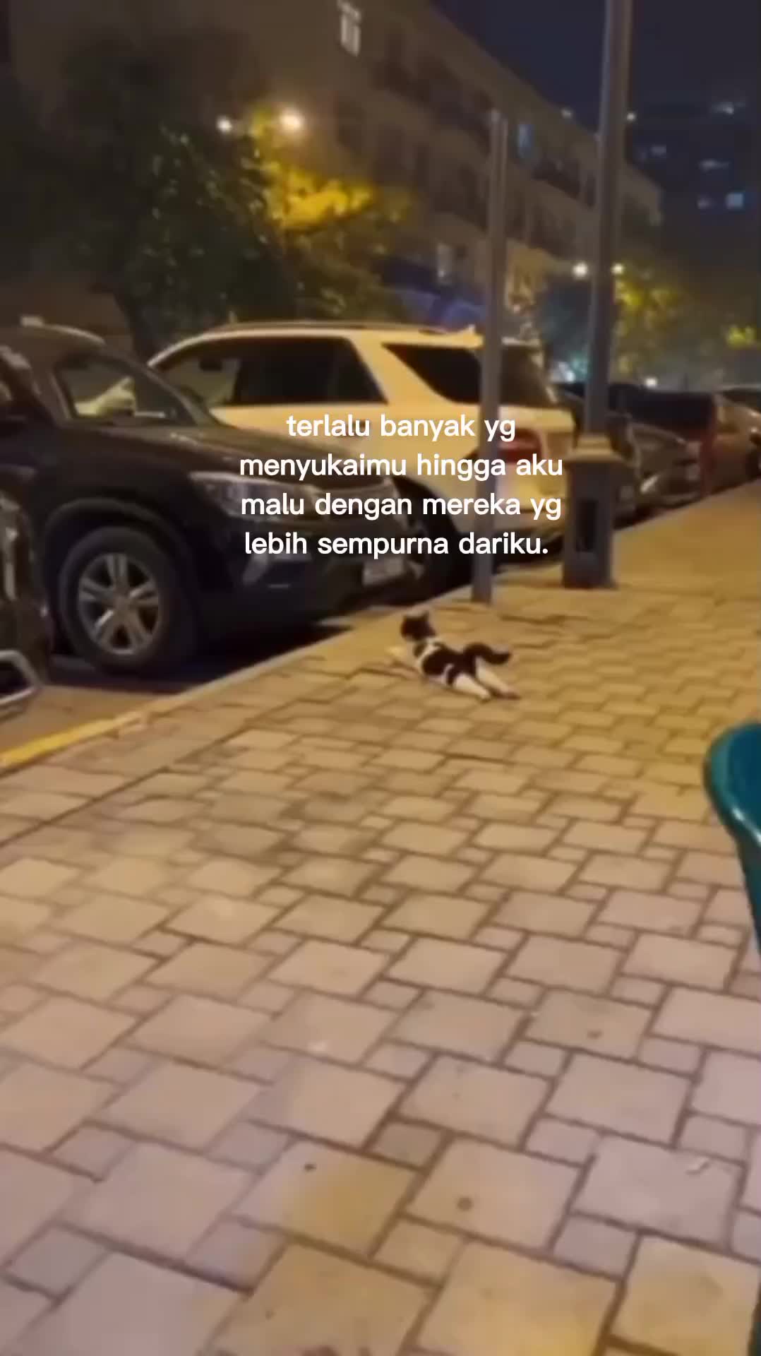 @tali rapia