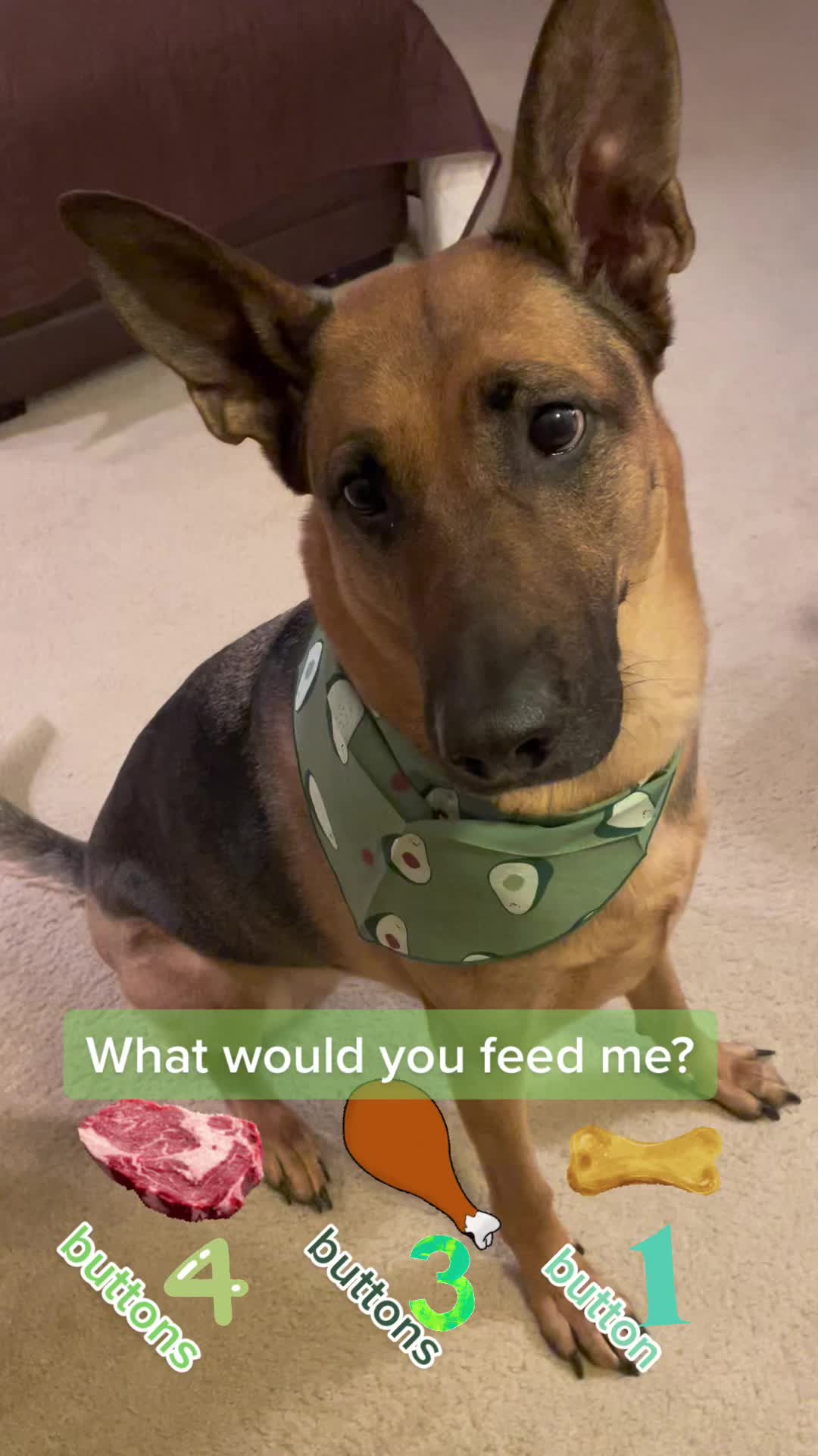 @Robyn🐕Blackberry