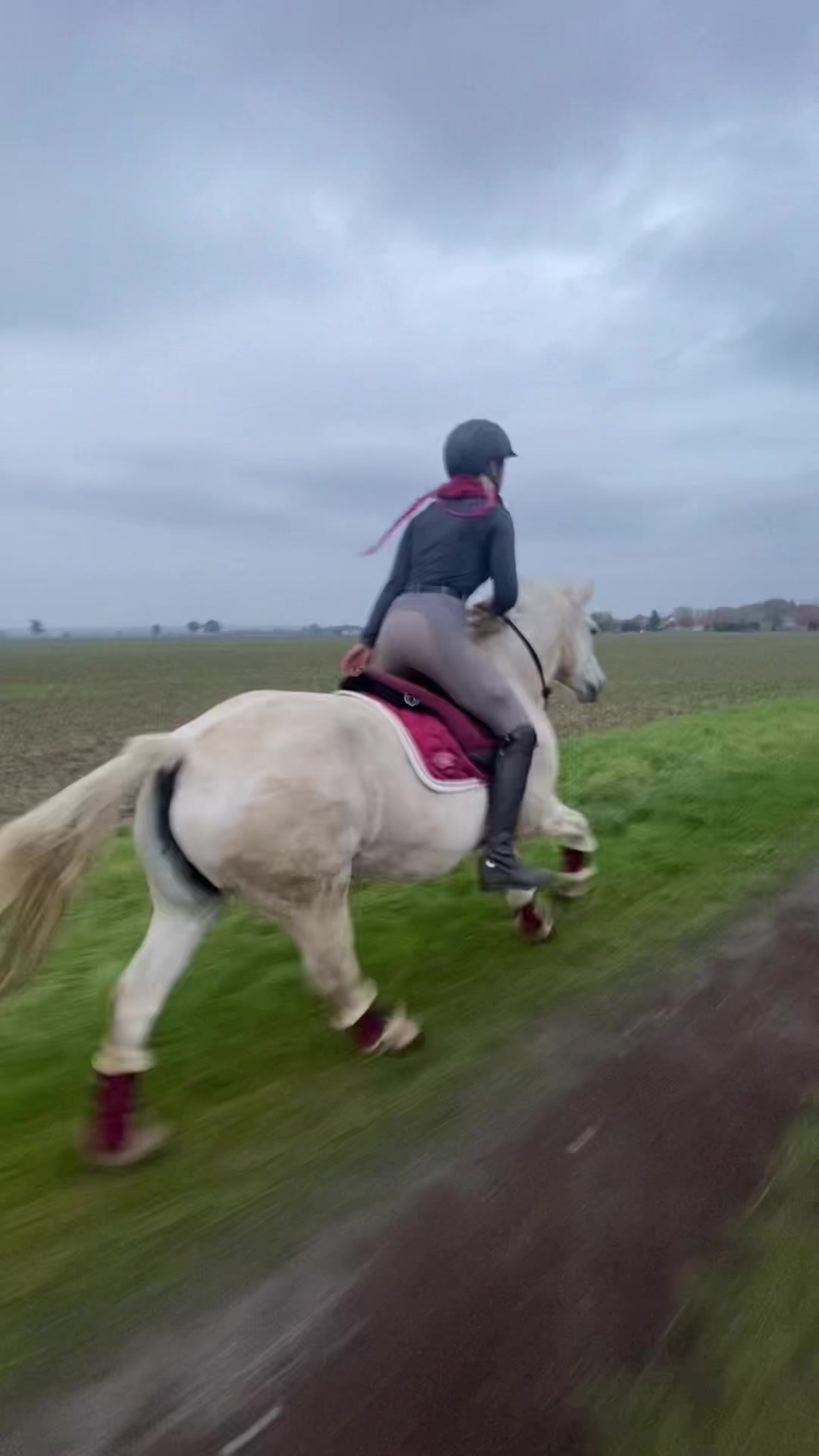 @show.jumper_speedy
