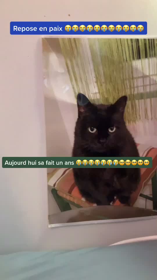 @camille roigt