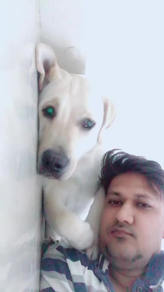 @Nawab