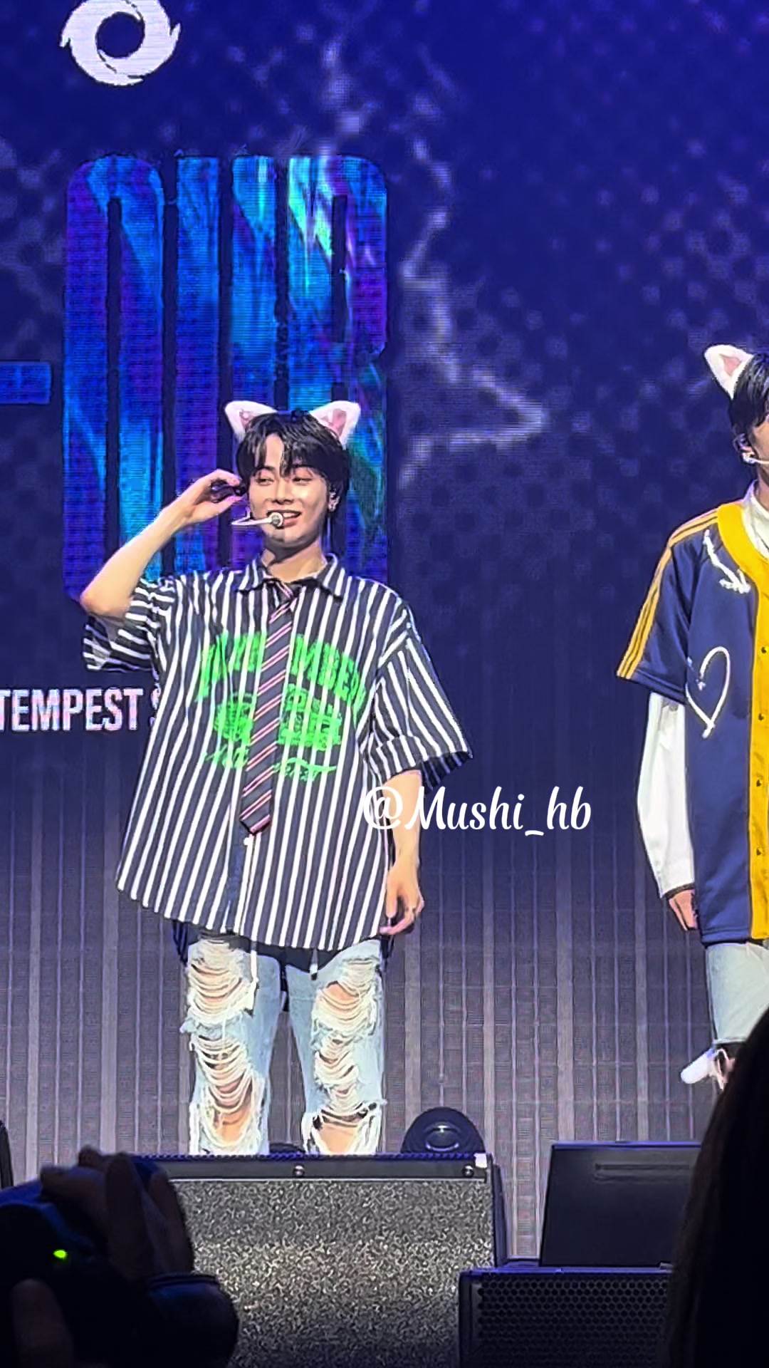 @Saaubes ๑˃̵ᴗ˂̵