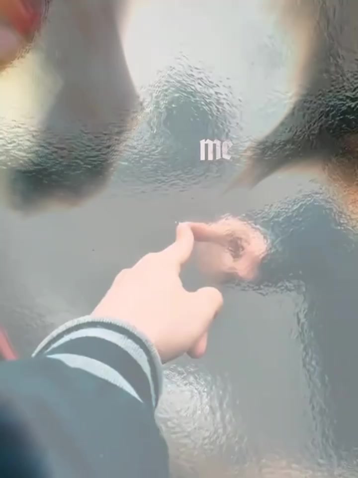 @❤🐻 TÚ OSHITA 🐻❤️