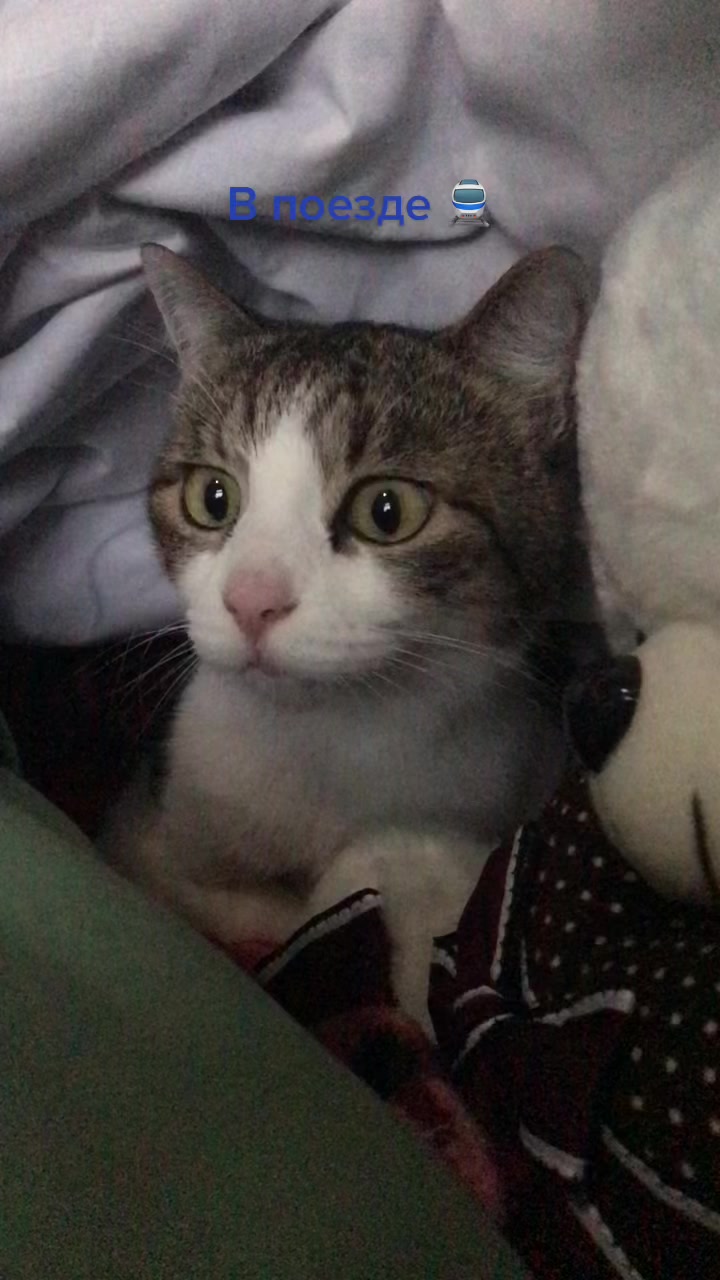 @Артём