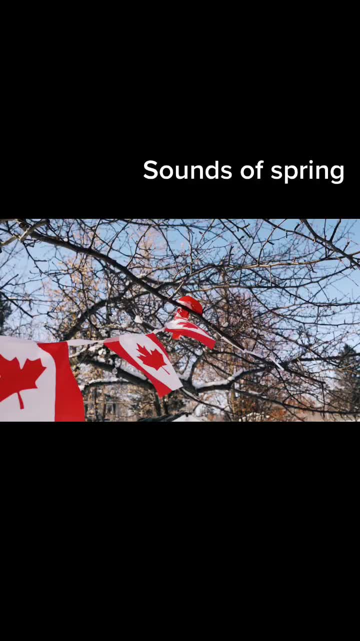 @Tiffany in Canada