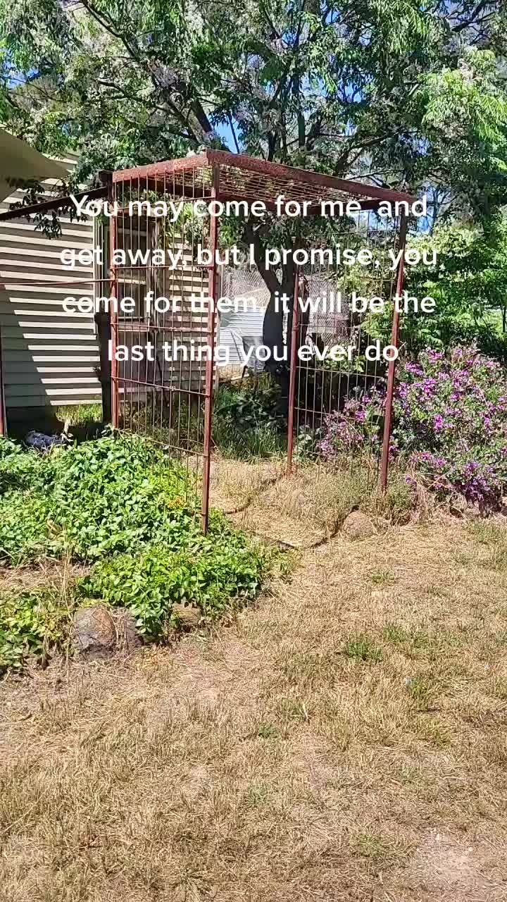 @VPSSGM