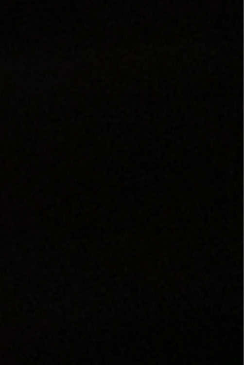 @Lexy๐ณ๏ธ๐•๐๐ง๐๐๐ฃ๐๐จ