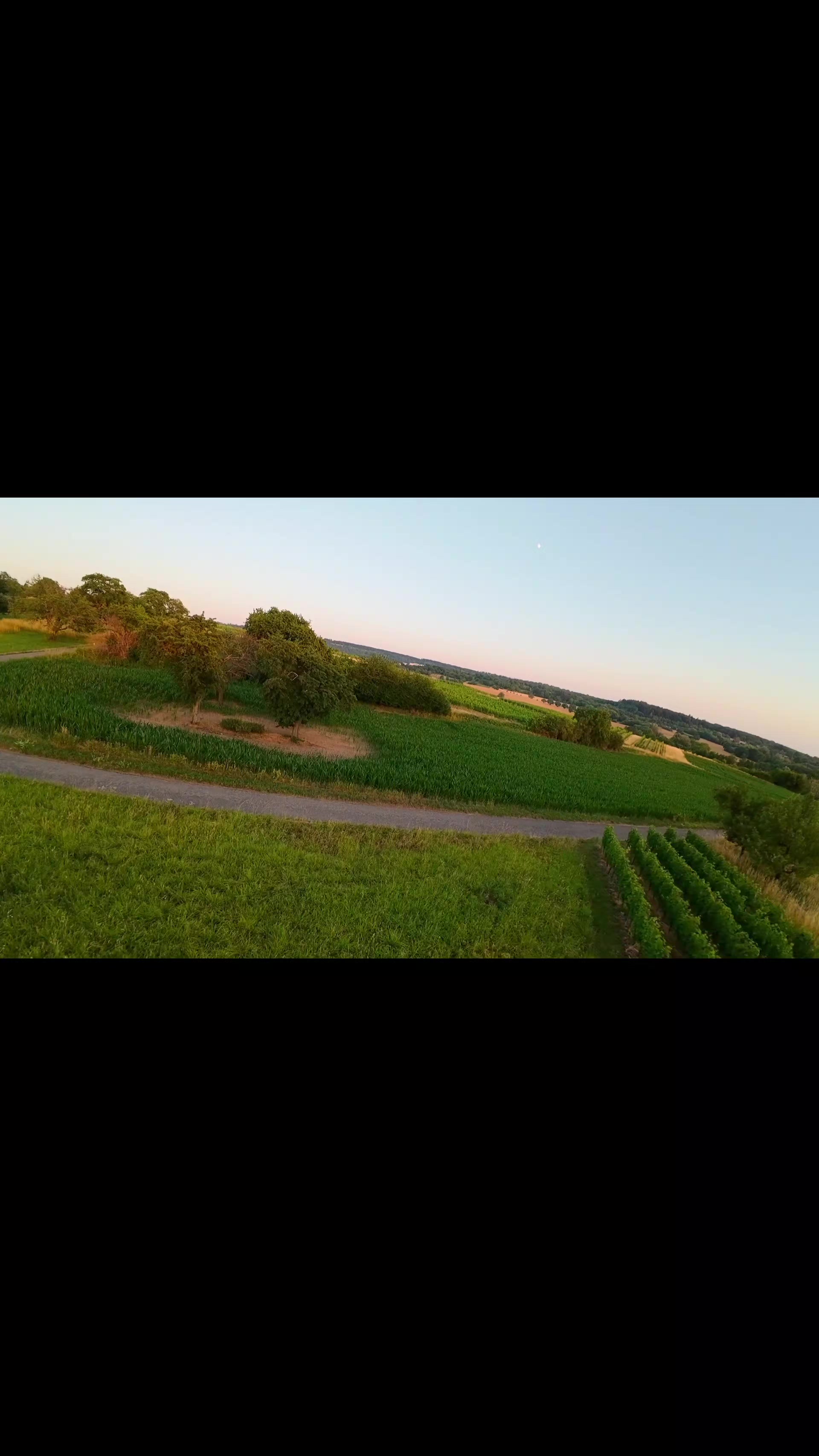@Glaschick