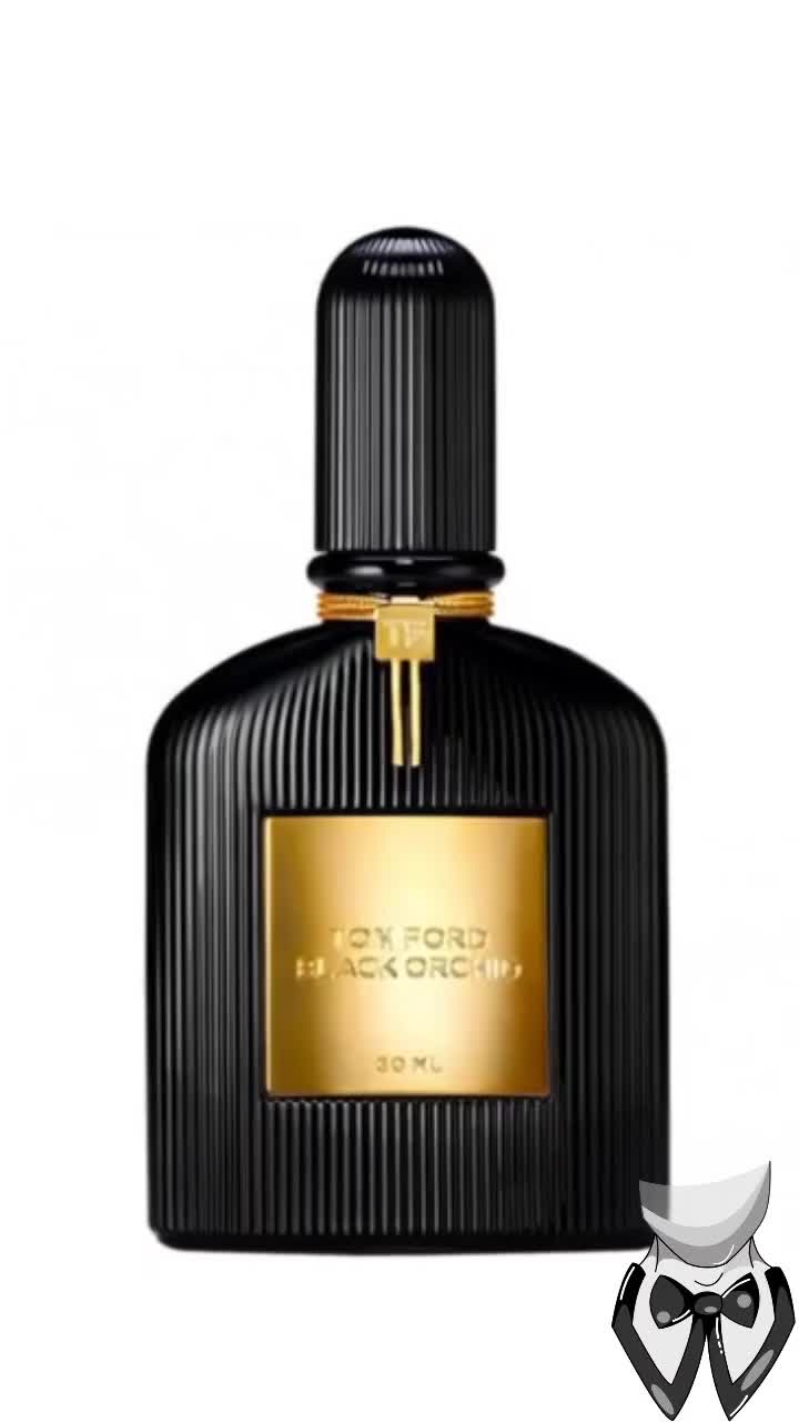 @Webster Style|Fragrances|Geek