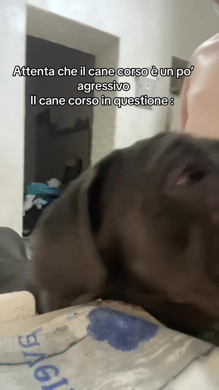 @JASMINE