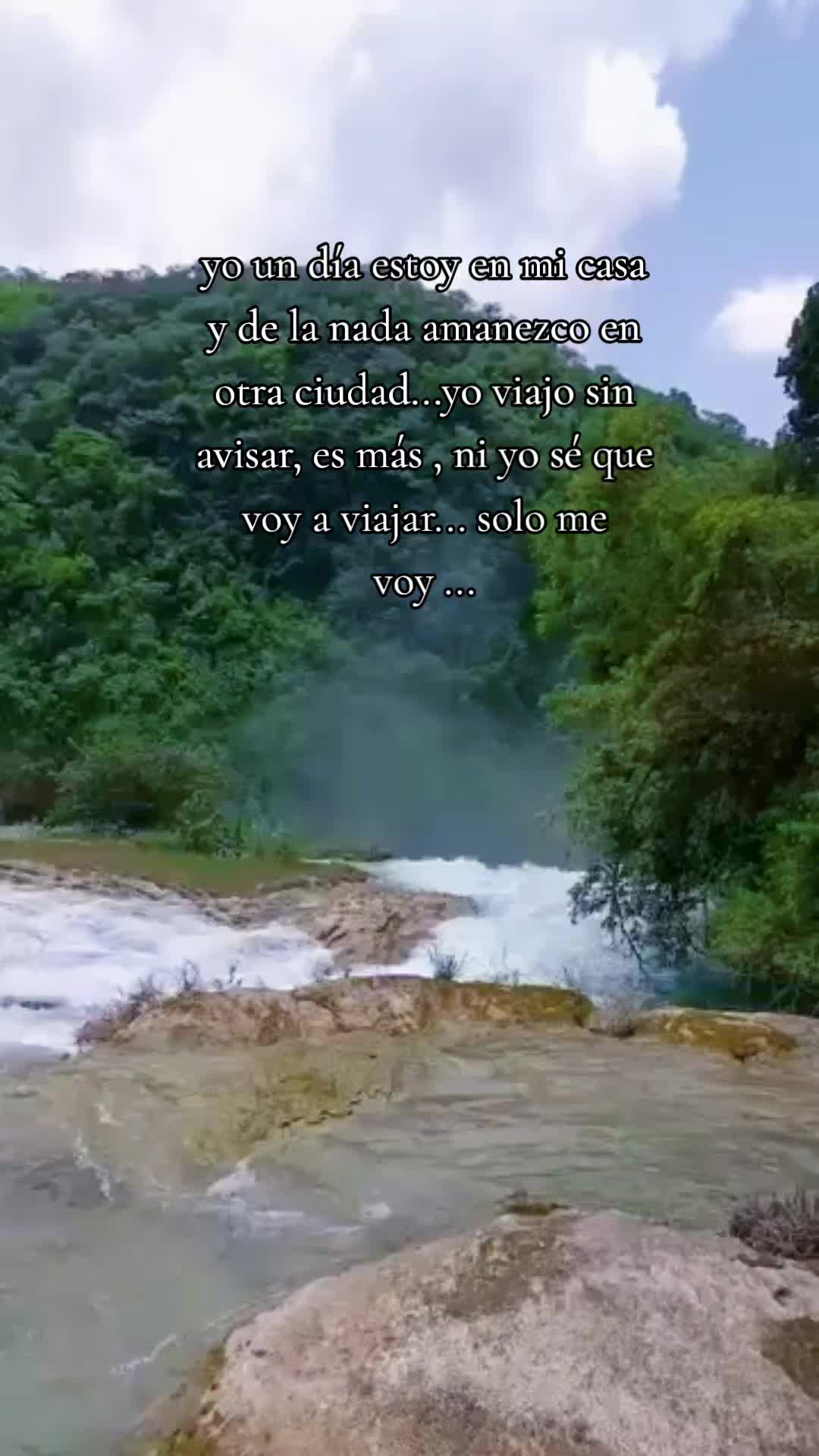 @neryzmar
