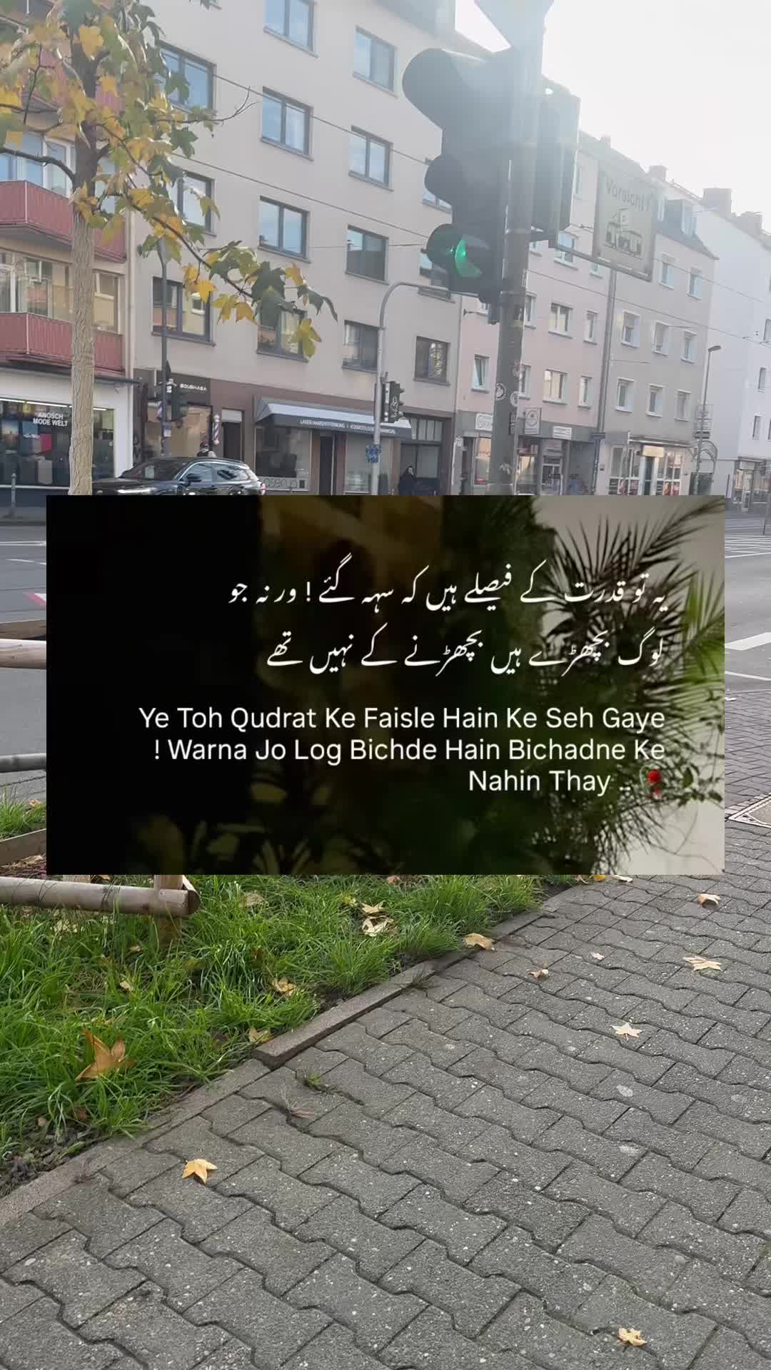 @Saba
