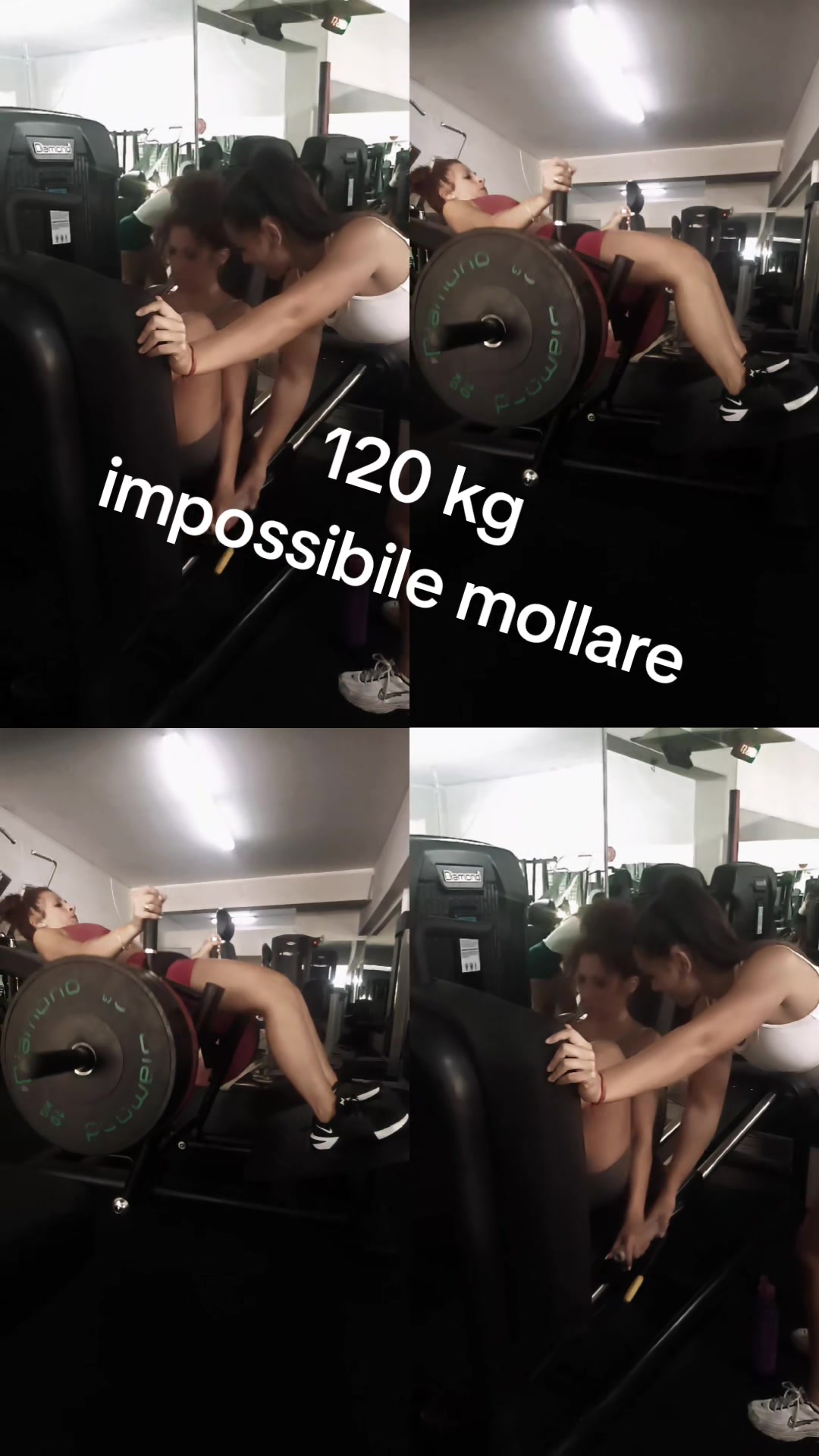 @Concetta Zelante