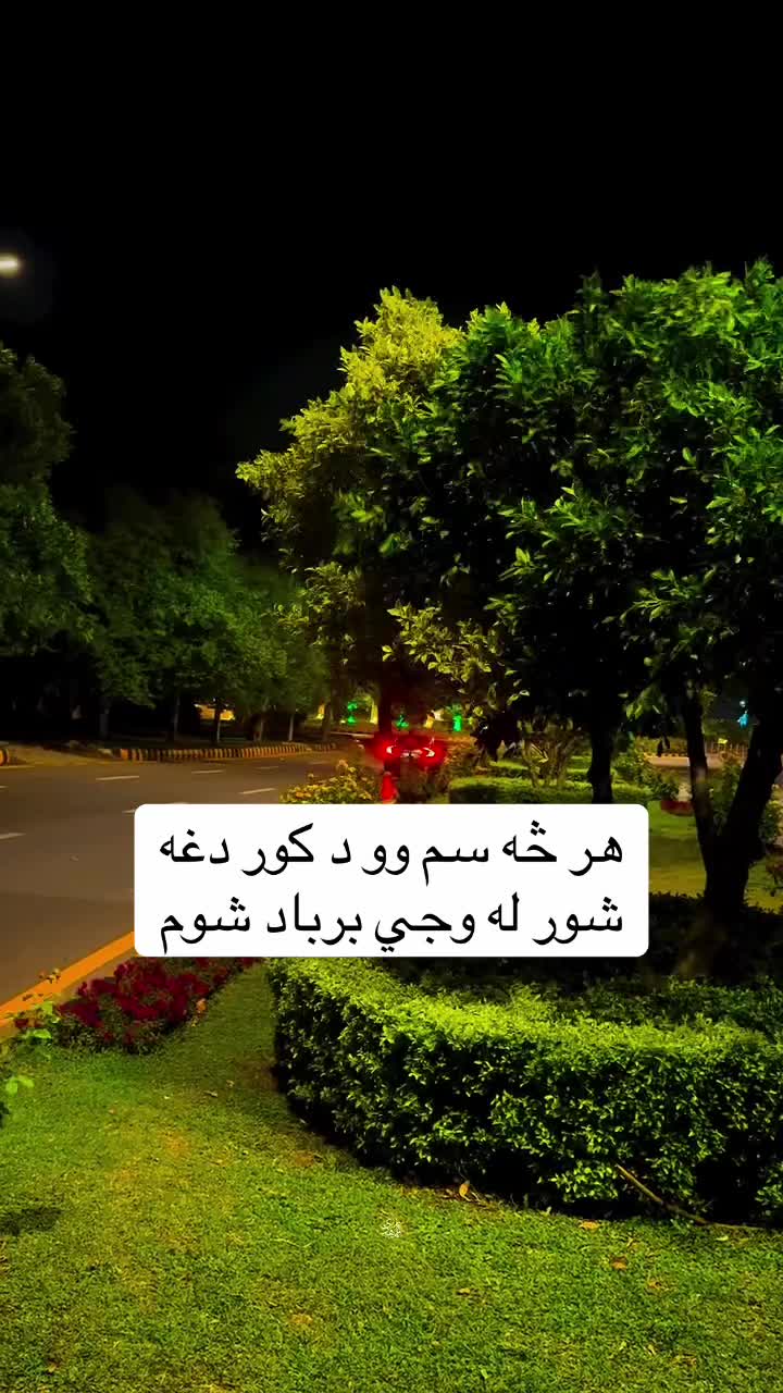 @𓆩•جّنگّــᬼــجّو٘•𓆪