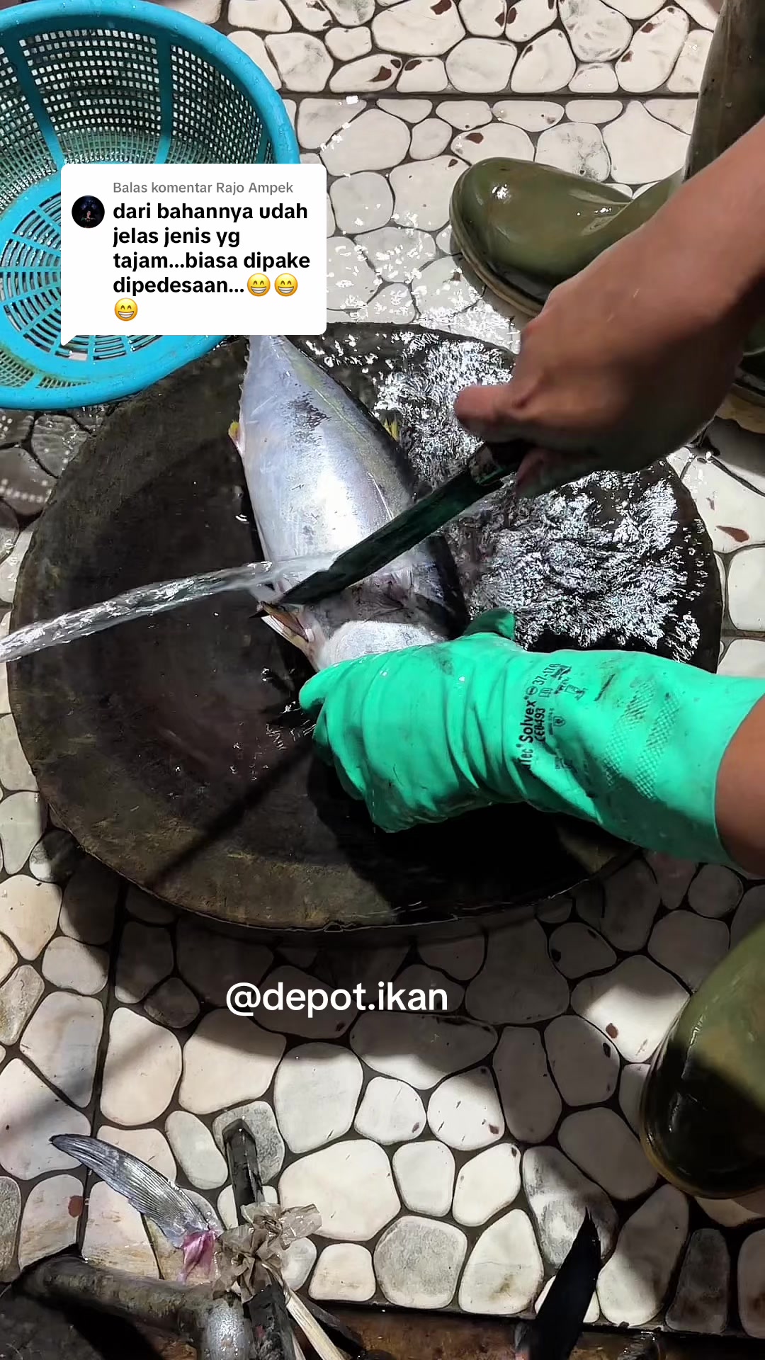 @Depot Ikan