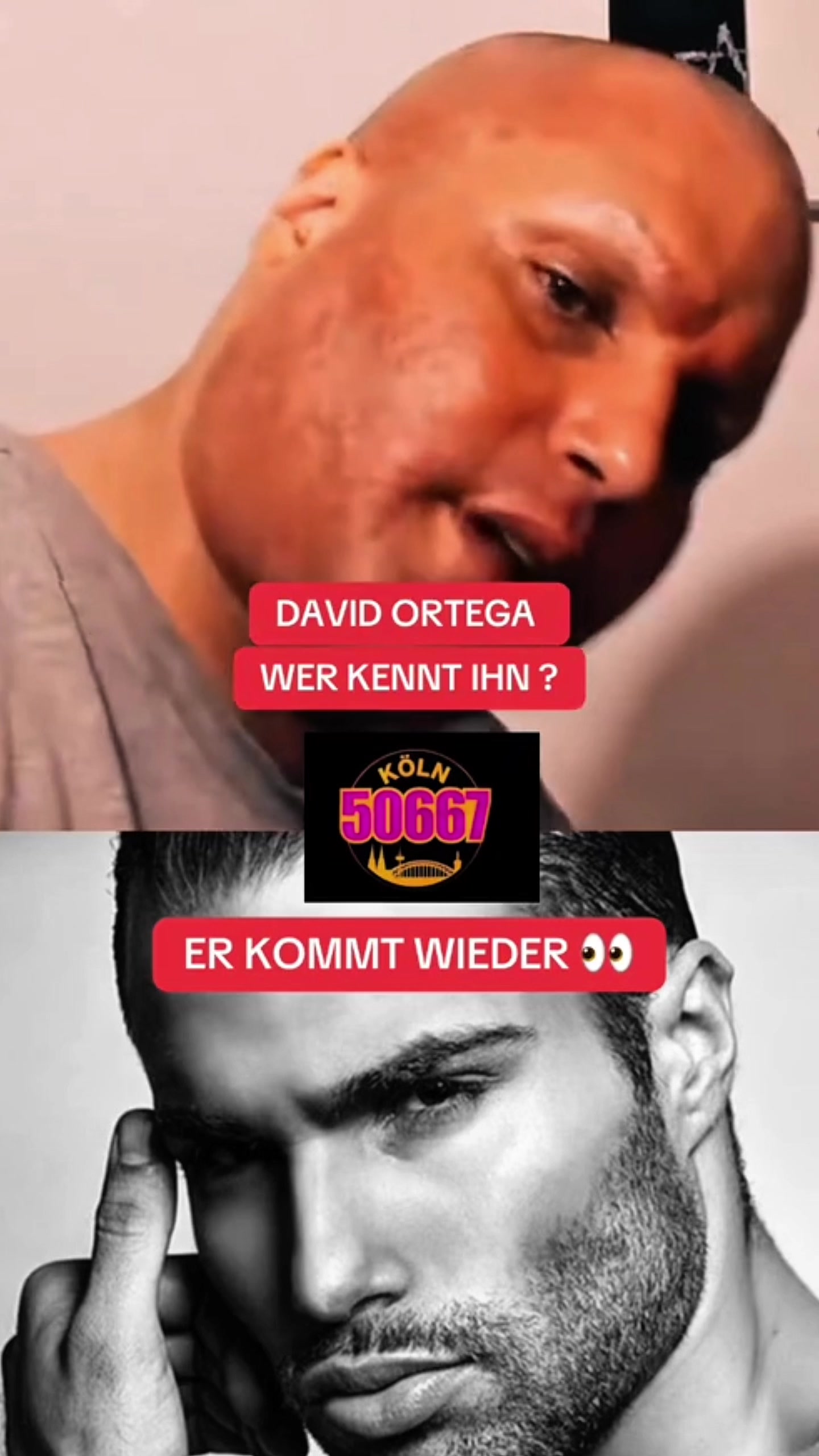 @PromiRadar DE