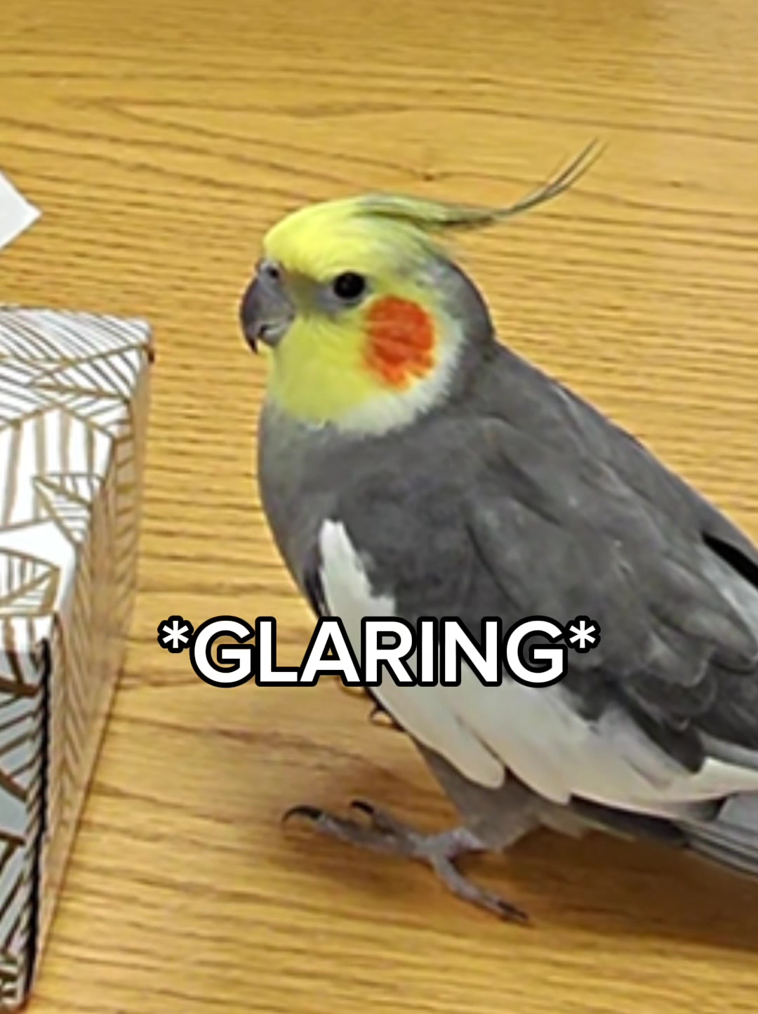 @Emery The Branch Manager