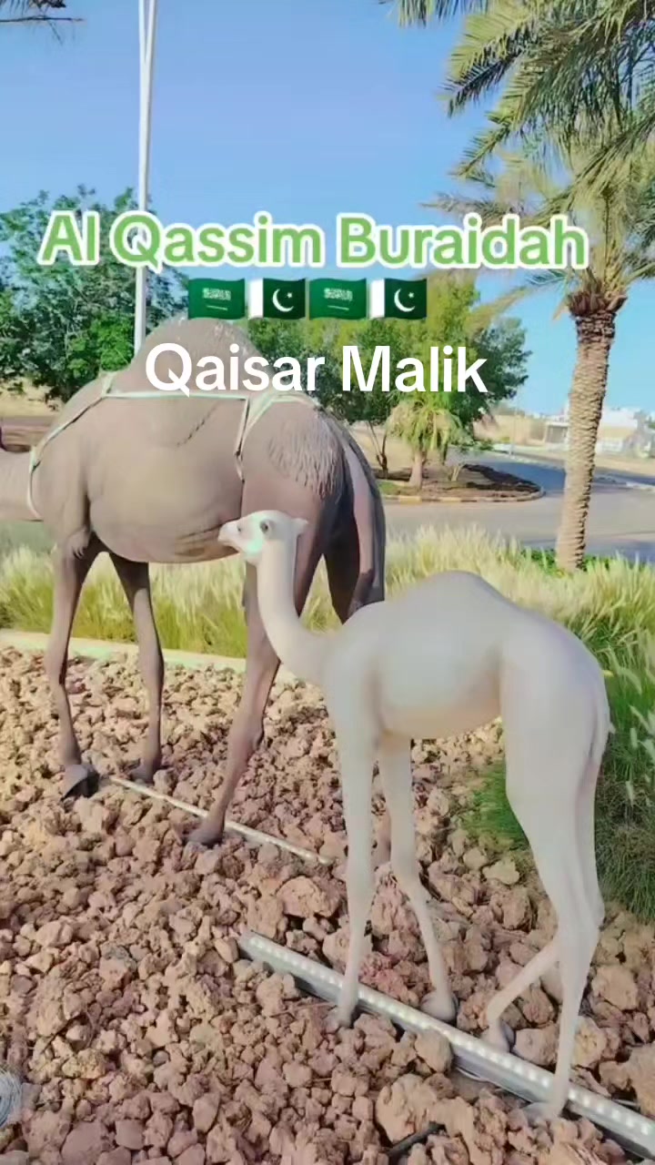 @Qaisar Malik 004.Saudi arab