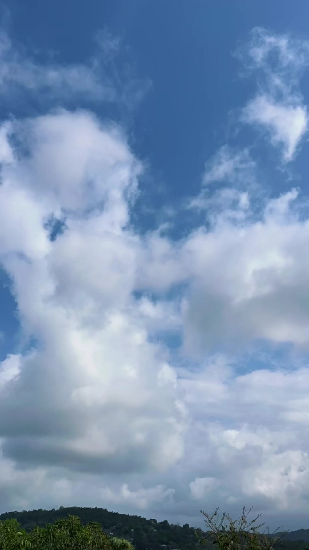 @𝒮𝑒𝓃𝑒𝓉𝒽