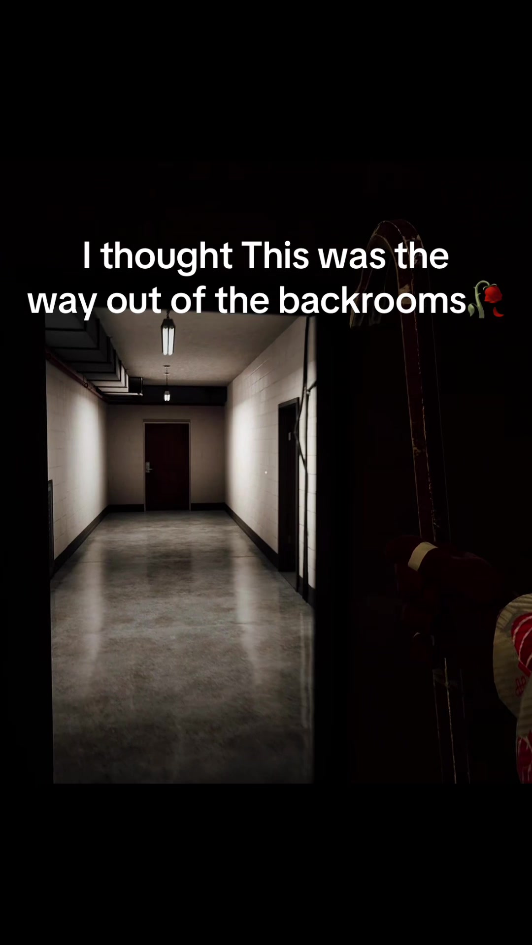 @Baxqui