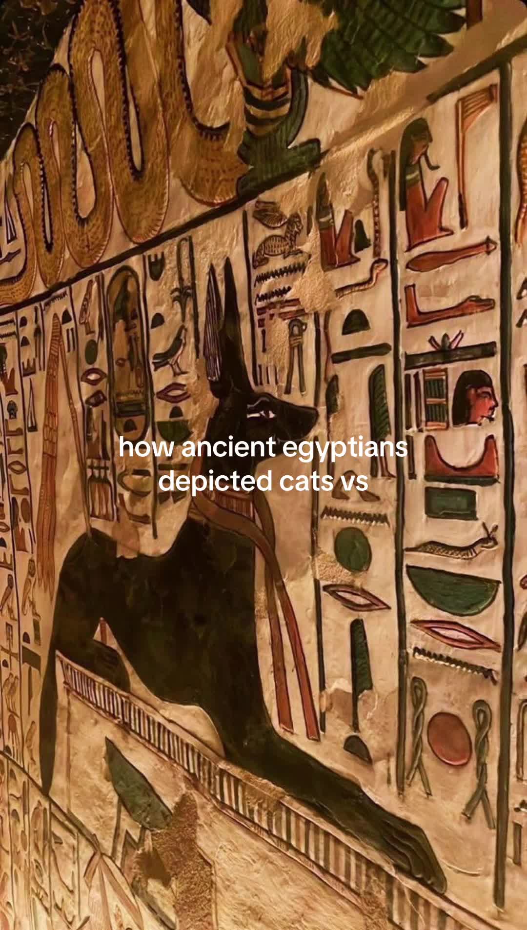 @67historyfacts