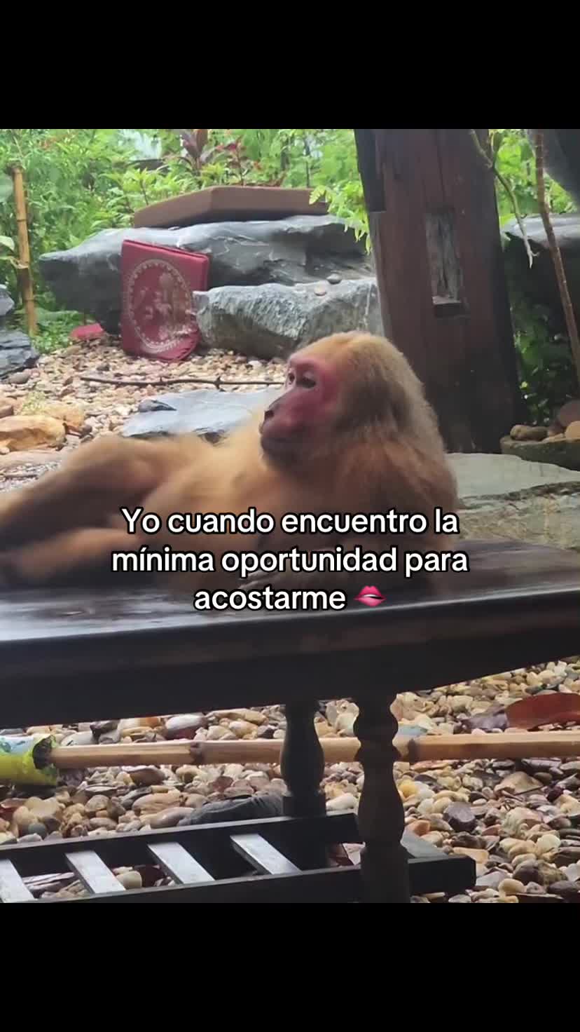@Alan Jhoel