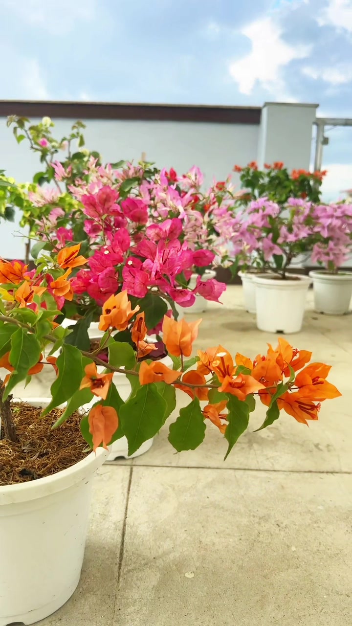 @Plantlife50