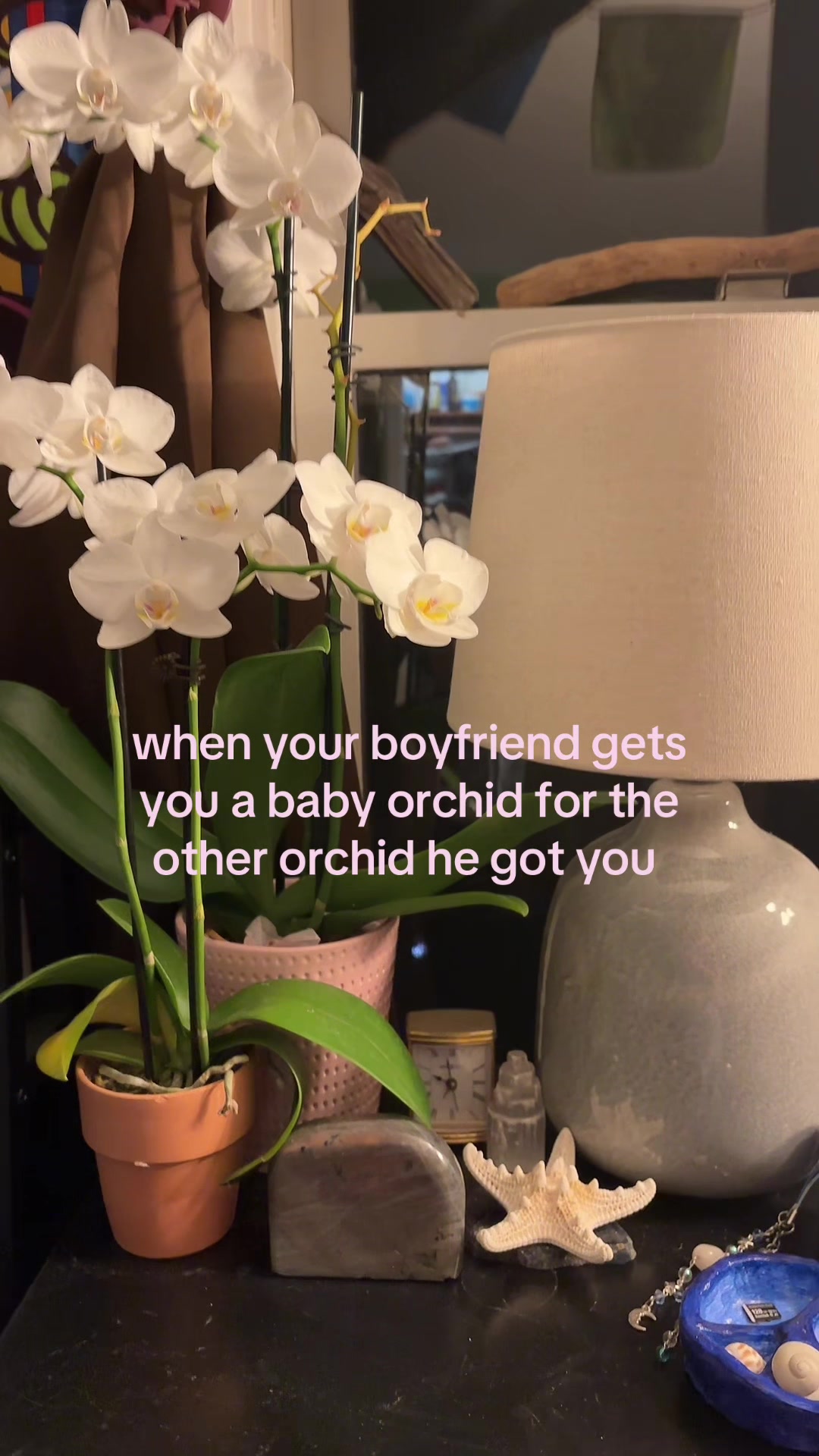 @ays ☮︎