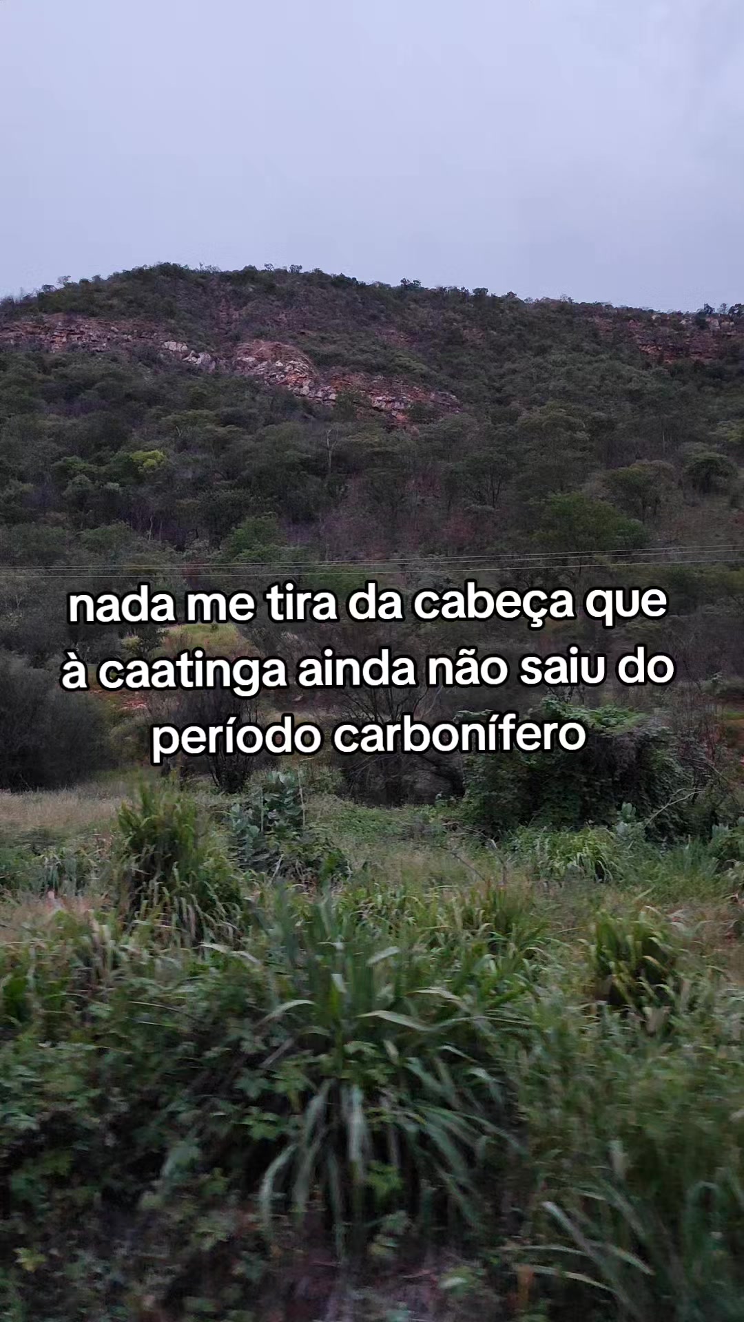 @Henry 🇧🇷
