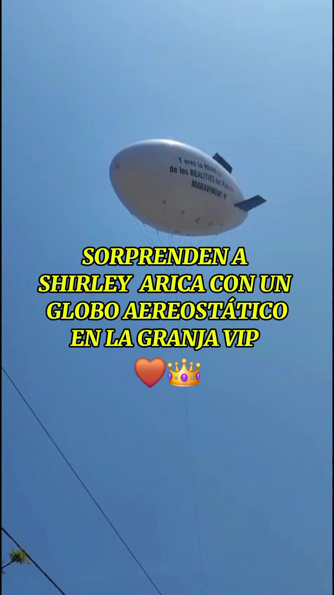 @SHIR | 🦋🤎